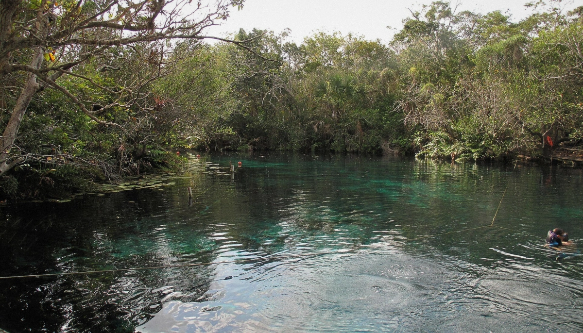 Open cenote with clear green water surrounded by jungle in Quintana Roo, Mexico